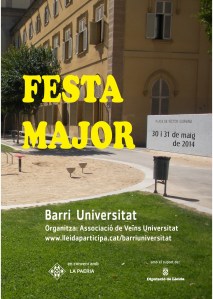 cartell festa