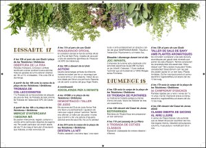 programa-stpony-alta_Page_2