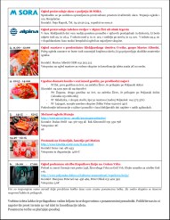 PROGRAMzaskupineKlekljarskidnevi-2